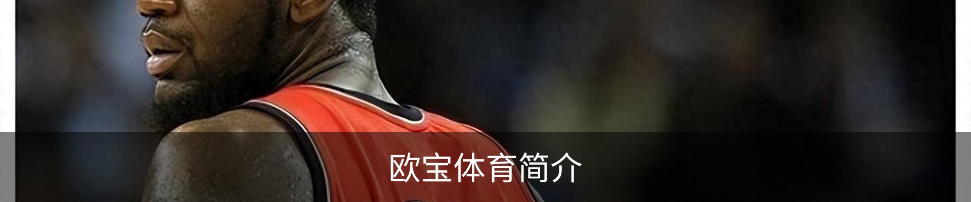 欧宝体育简介